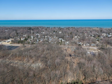 16351 Red Arrow Hwy, Union Pier, MI 49129 - photo 3