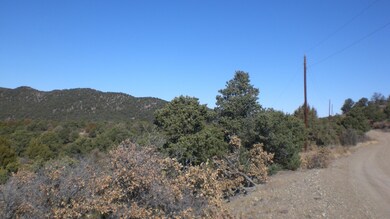CIMG4579