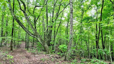 TractA Clark Dr, Jasper, GA 30143 - photo 6