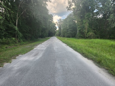 0 NW 86th St, Chiefland, FL 32626 - photo 4