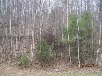 Broderick View 3