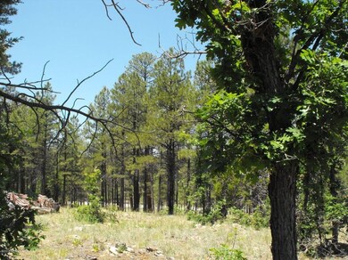 2 551 Hopi