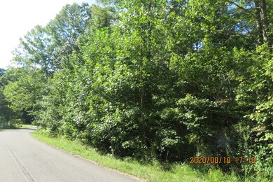 0 Hurricane Loop, Tennessee Ridge, TN 37178 - photo 4