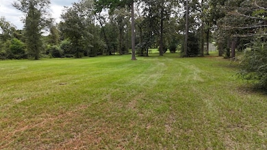 0 Ed Tolar Rd, Pansey, AL 36370 - photo 5