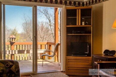 471 Adams Apple Dr unit 3, Banner Elk, NC 28604 - photo 6