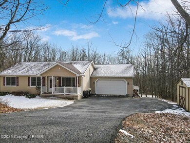 Driveway and Shed