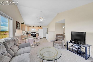 10317 Ranch Rd, Hartsel, CO 80449 - photo 4