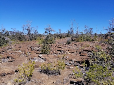 92-8506 Liliana Ln, Ocean View, HI 96704 - photo 4