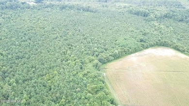 2025-08-05-11-20-42-836