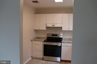 315 Birch Dr unit B, Lafayette Hill, PA 19444 - photo 6