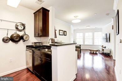 Dominion Heights unit 217, Arlington, VA 22207 - photo 5