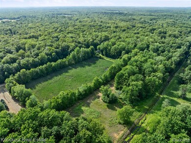 #0091 V L Nature's Trail Rd, Vassar, MI 48768 - photo 5