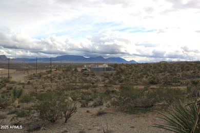 1765 Fortification Dr unit 736, Meadview, AZ 86444 - photo 4