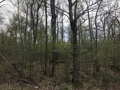 0 Prospect Rd unit RTC1815194, Prospect, TN 38477 - photo 4