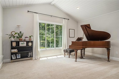 Living area with vaulted ceiling, carpet flooring, baseboards, and wood ceiling
