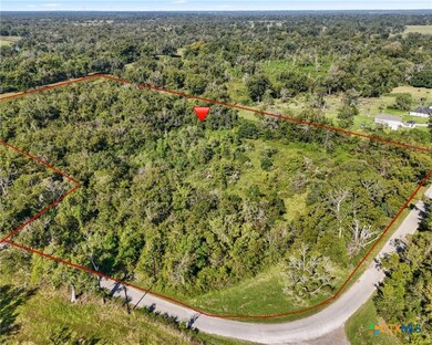 162 Bell Bottom Rd, Other, TX 77415 - photo 5