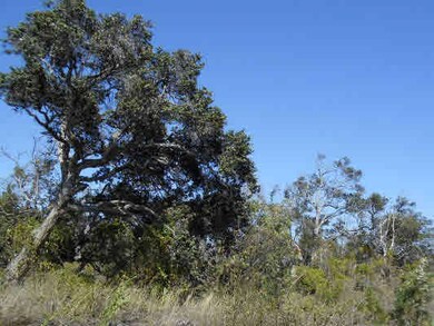 0 Paradise Pkwy unit 261478, Ocean View, HI 96737 - photo 6