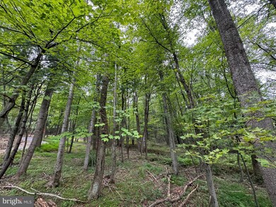 0 Ramsey Ln unit PAFU2001744, Ayr Township, PA 17233 - photo 5