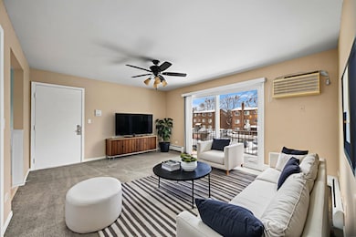 1313 N Baldwin Ct unit 2C, Palatine, IL 60074 - photo 2