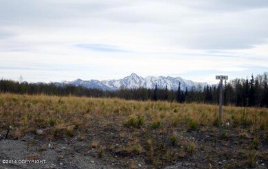 Mountain View PHoto