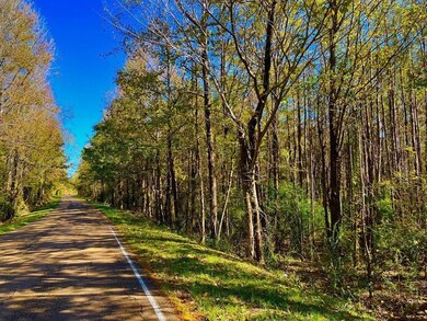 1000 Old Sylvarena Rd, Wesson, MS 39191 - photo 2