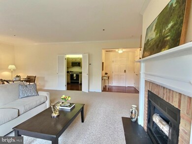 204 Brightwood Club Dr, Lutherville Timonium, MD 21093 - photo 4