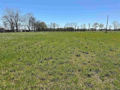 9766 Skynet Ln, Bueche, LA 70729 - photo 2