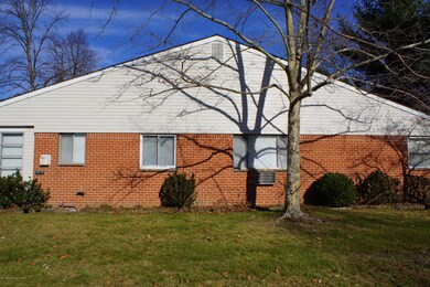 Side View