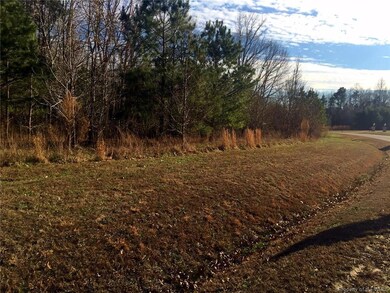 6009 New Wilkinson Way, Williamsburg, VA 23188 - photo 3