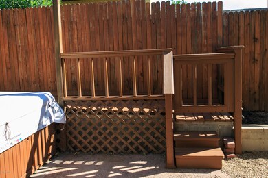 back yard 3.jpg