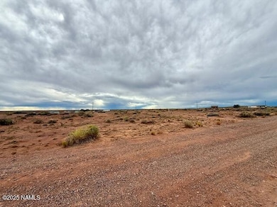 58 Well Field Rd, Winslow, AZ 86047 - photo 4