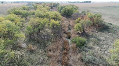 TBD Fm 2647, Ballinger, TX 76821 - photo 6