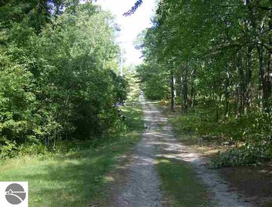 00 E 8th St, Au Gres, MI 48703 - photo 5