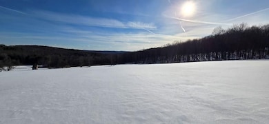 45 Kronus Rd, Erin, NY 14838 - photo 6