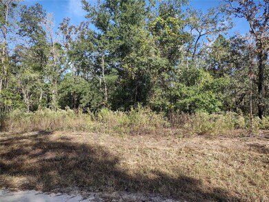 TBD SW 47th St, Ocala, FL 34481 - photo 4
