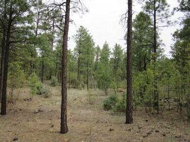 1701 S Bristle Cone Dr, Show Low, AZ 85901 - photo 5