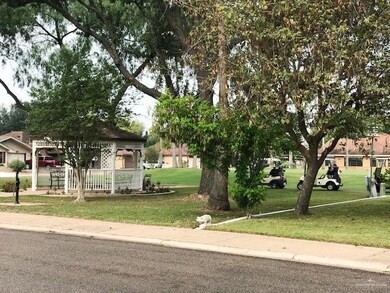 846 Citrus Dr, Alamo, TX 78516 - photo 3