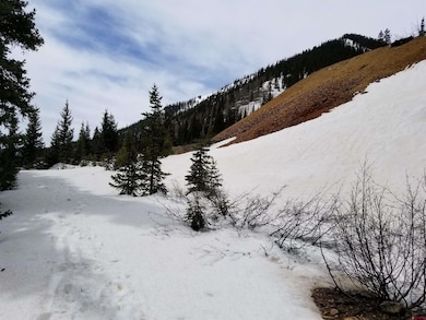 TBD Cr 110 Dooley, Silverton, CO 81433 - photo 2