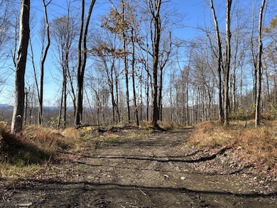 TBD Spruce Run Rd, Terra Alta, WV 26764 - photo 4