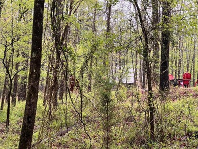 26 Kissingfish Ct, Broken Bow, OK 74728 - photo 7