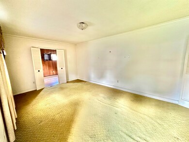 Carpeted spare room featuring crown molding