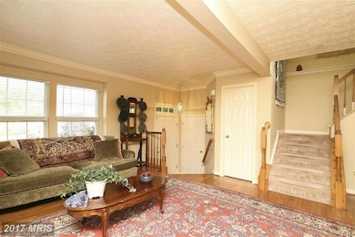 727 Pine Drift Dr, Odenton, MD 21113 - photo 6