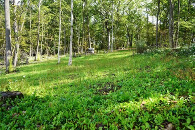 deer island river view 4