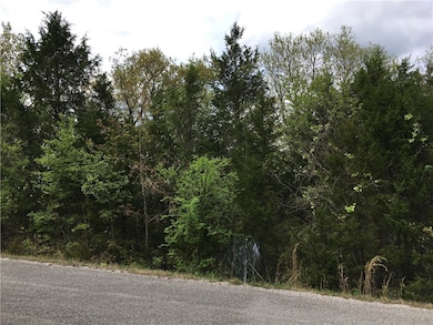 34 Starlite Ave, Holiday Island, AR 72631 - photo 3