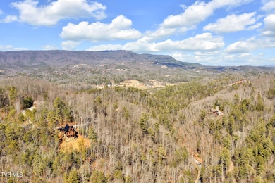 1-web-or-mls-DJI_0072