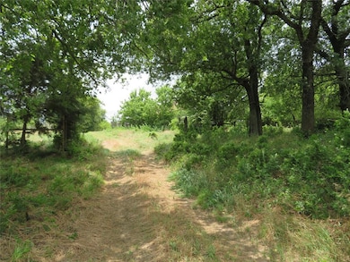 1456 Greenwood Ln, Forestburg, TX 76239 - photo 3