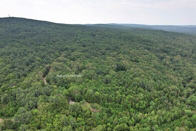 0 Eastman Hill Hermit Woods Rd unit 1-6 4957908, Sanbornton, NH 03269 - photo 4