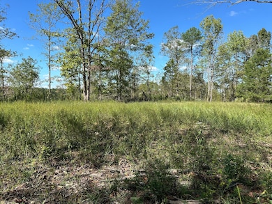 0 Tbd Only Rd, Only, TN 37140 - photo 5