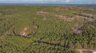 14304 Hargrove Rd E, Cottondale, AL 35453 - photo 6