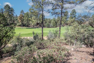 2302 E Blue Bell Cir, Payson, AZ 85541 - photo 2